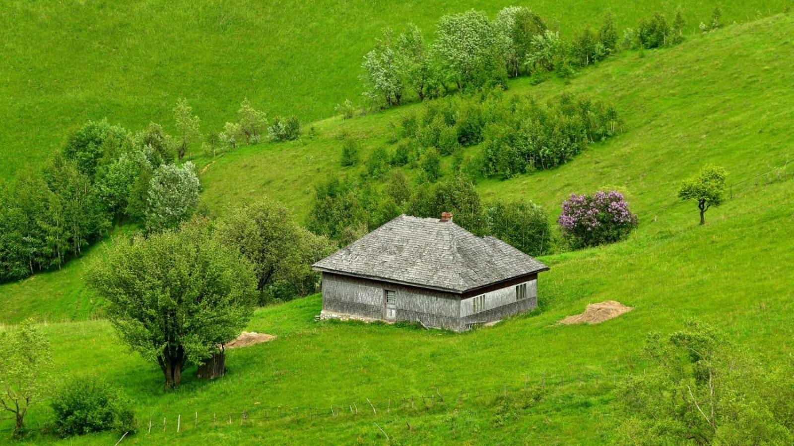 Şirnea The Barn 빌라 외부 사진
